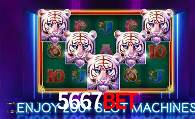 5667Bet